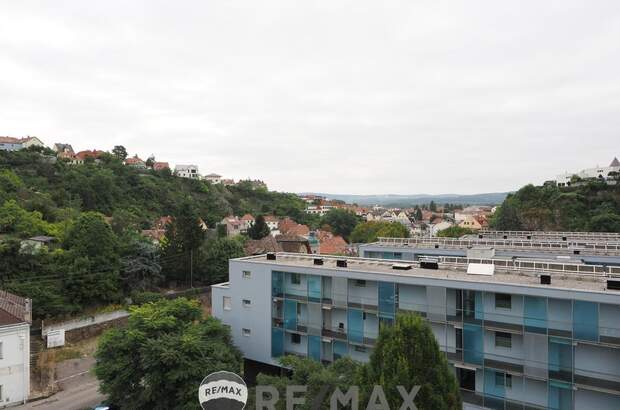 Terrassenwohnung kaufen in 3500 Krems (Bild 1)