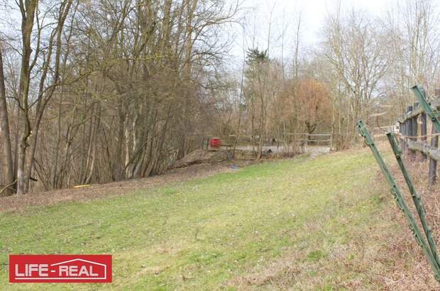 Grundstück kaufen in 4600 Thalheim