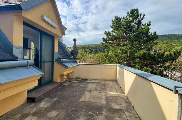 Terrassenwohnung kaufen in 2500 Baden (Bild 1)