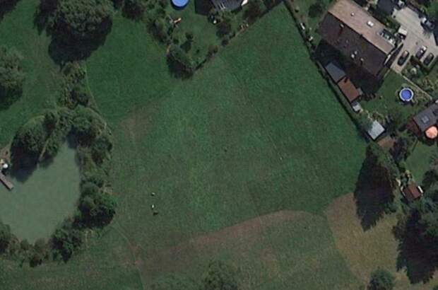 Grundstück kaufen in 2392 Grub (Bild 1)