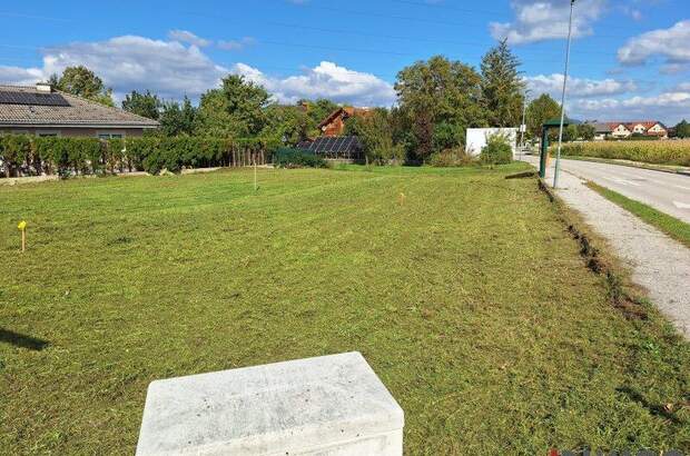Grundstück kaufen in 2542 Kottingbrunn (Bild 2)