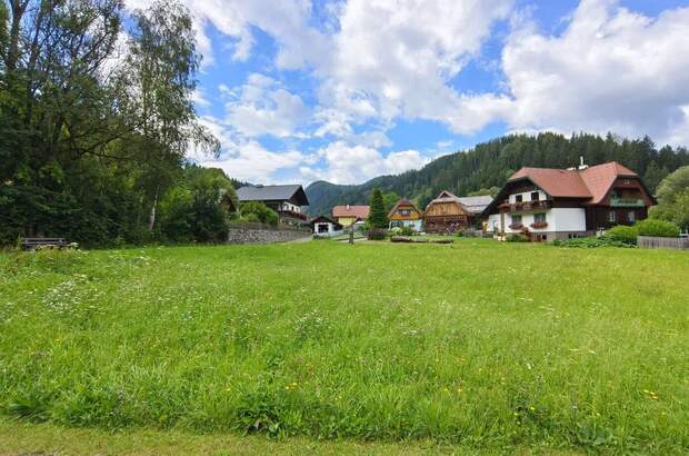 Grundstück kaufen in 8622 Etmißl (Bild 4)