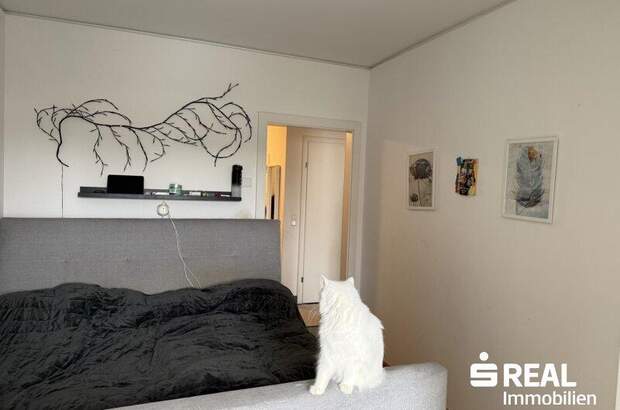 Terrassenwohnung kaufen in 4053 Haid (Bild 4)