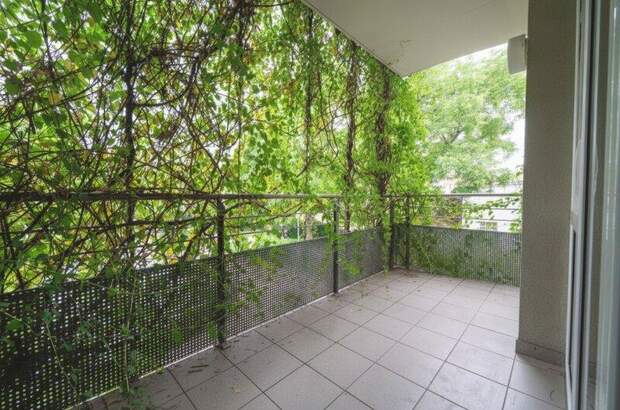 Terrassenwohnung mieten in 2130 Mistelbach (Bild 3)