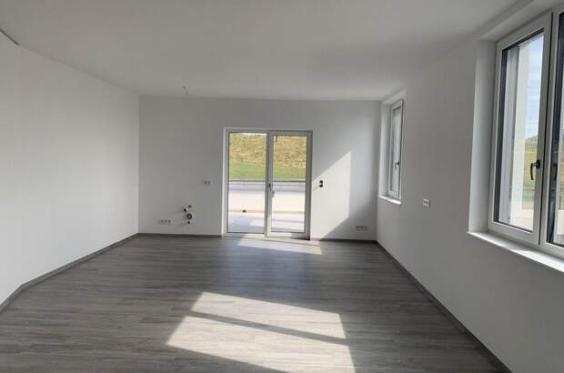 Gewerbeobjekt mieten in 4873 Frankenburg (Bild 5)