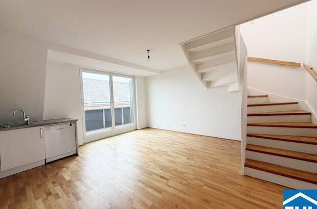 Terrassenwohnung mieten in 1030 Wien (Bild 2)
