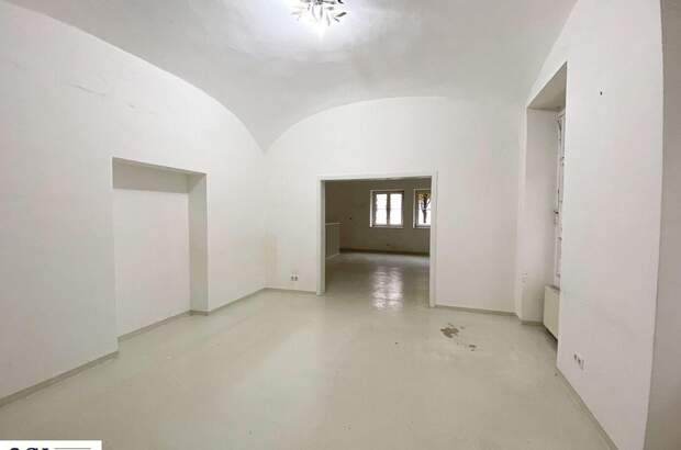 Gewerbeobjekt mieten in 1070 Wien (Bild 5)