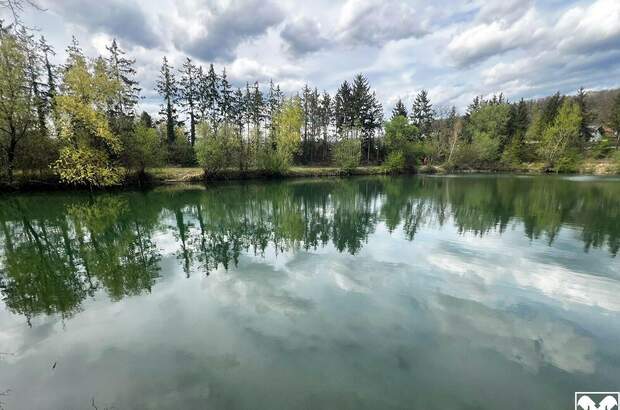 Gewerbeobjekt kaufen in 3382 Neubach (Bild 2)