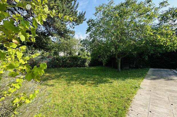 Grundstück kaufen in 1190 Wien (Bild 4)