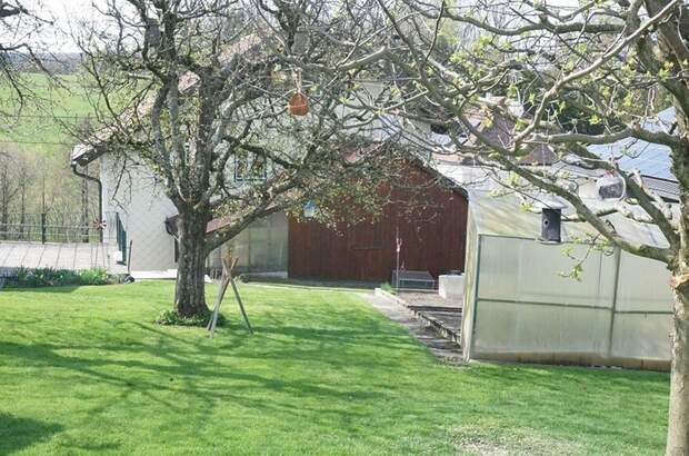 Haus kaufen in 4925 Pramet (Bild 4)