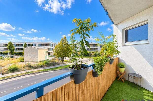 Terrassenwohnung kaufen in 2100 Korneuburg (Bild 4)