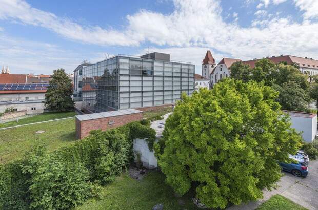 Gewerbeobjekt kaufen in 2700 Wiener Neustadt (Bild 2)