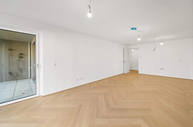 Terrassenwohnung kaufen in 1210 Wien (Bild 3)