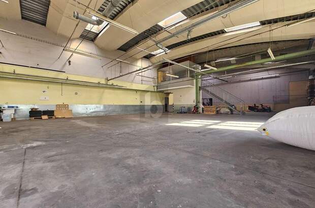 Produktion kaufen in 2413 Berg (Bild 2)