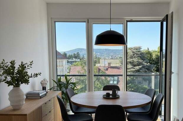 Wohnung mieten in 1130 Wien (Bild 1)