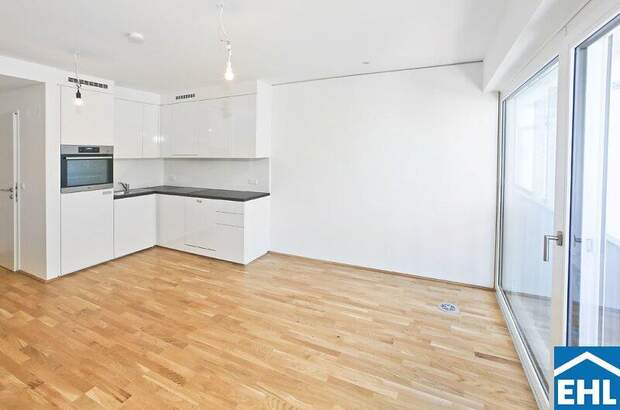 Terrassenwohnung mieten in 1030 Wien (Bild 2)