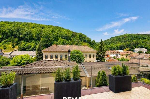 Mehrfamilienhaus kaufen in 2391 Kaltenleutgeben (Bild 5)