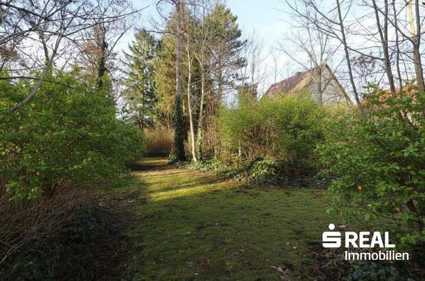 Grundstück kaufen in 4050 Traun (Bild 3)