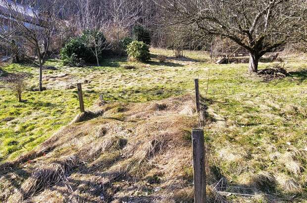 Grundstück kaufen in 3021 Pressbaum (Bild 2)