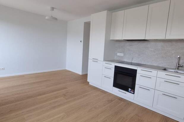 Wohnung mieten in 1010 Wien (Bild 1)