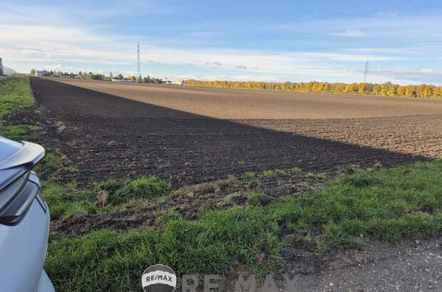 Grundstück kaufen in 1220 Wien (Bild 5)