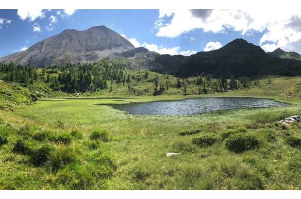 Grundstück kaufen in 5442 Rußbach (Bild 5)