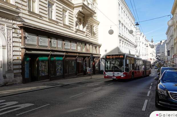 Gewerbeobjekt mieten in 1070 Wien (Bild 1)