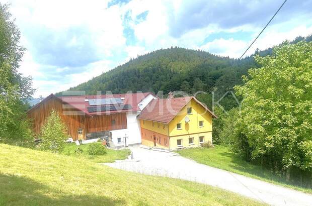 Bauernhaus kaufen in 4324 Rechberg (Bild 1)