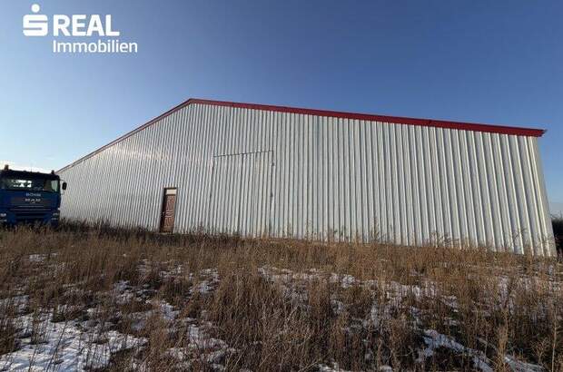 Lager kaufen in 2272 Ringelsdorf (Bild 5)