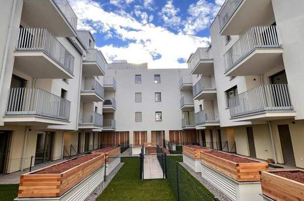 Wohnung mit Balkon kaufen in 1230 Wien (Bild 5)