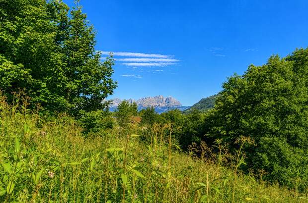 Grundstück kaufen in 6370 Kitzbühel (Bild 5)