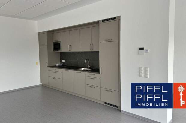 Gewerbeobjekt mieten in 4061 Pasching (Bild 1)