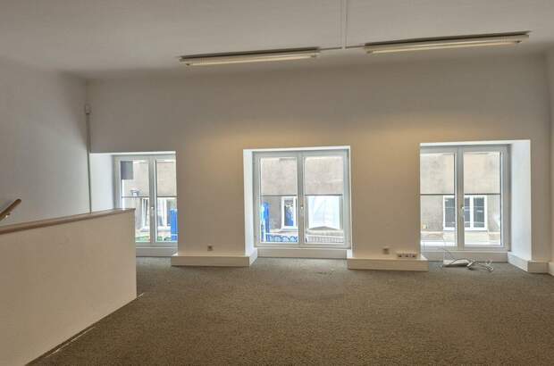 Gewerbeobjekt mieten in 1020 Wien (Bild 2)