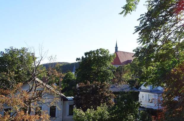 Terrassenwohnung mieten in 2340 Mödling (Bild 1)