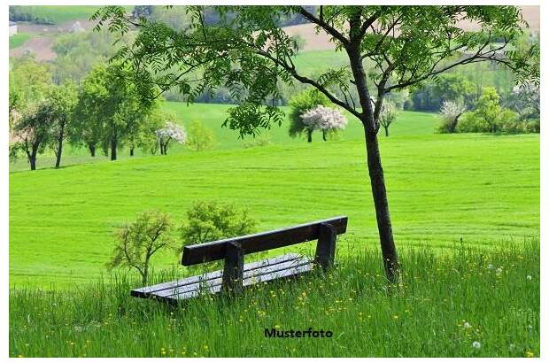 Grundstück kaufen in 4372 St. Georgen (Bild 1)
