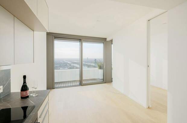 Terrassenwohnung mieten in 1220 Wien (Bild 1)