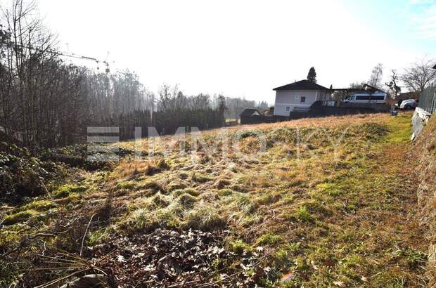 Grundstück kaufen in 4224 Wartberg (Bild 3)