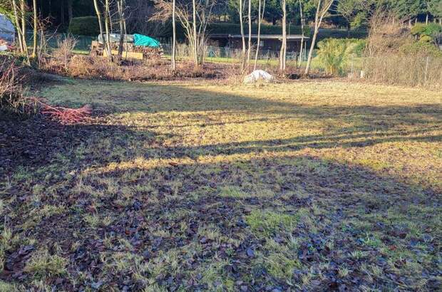 Grundstück kaufen in 4180 Saumstraß (Bild 5)