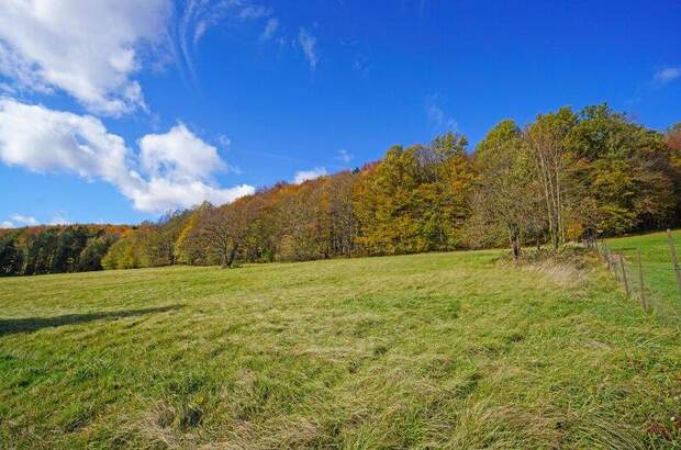 Grundstück kaufen in 3021 Pressbaum (Bild 4)