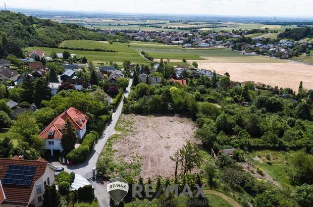 Grundstück kaufen in 2102 Hagenbrunn (Bild 1)