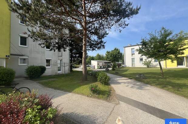 Wohnung mit Balkon kaufen in 9314 Launsdorf (Bild 2)