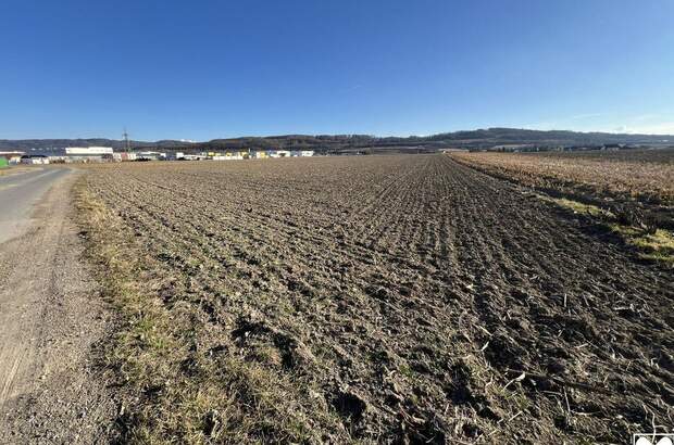 Gewerbeobjekt kaufen in 3380 Pöchlarn (Bild 4)