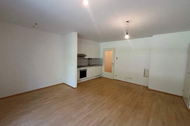 Wohnung mieten in 1190 Wien (Bild 1)