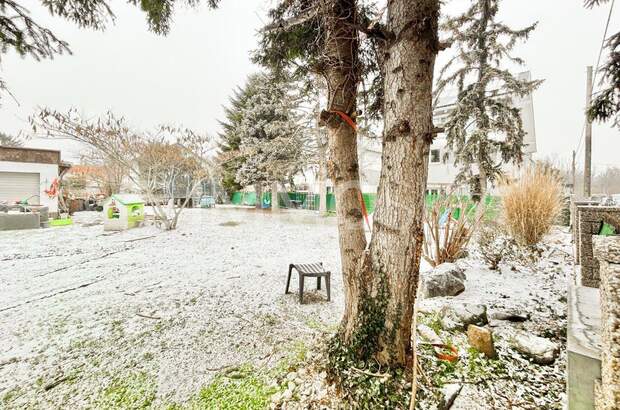 Grundstück kaufen in 1220 Wien (Bild 3)