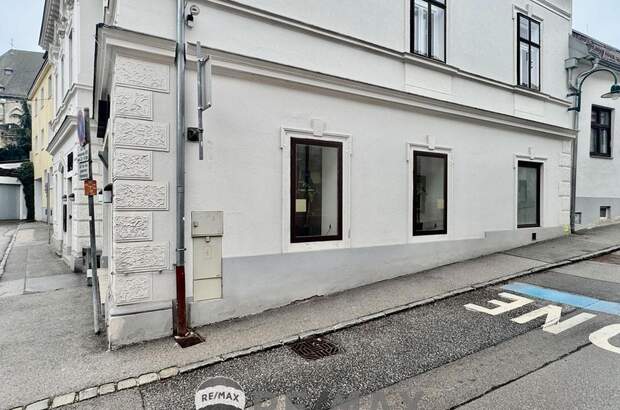 Gewerbeobjekt mieten in 2380 Perchtoldsdorf (Bild 4)