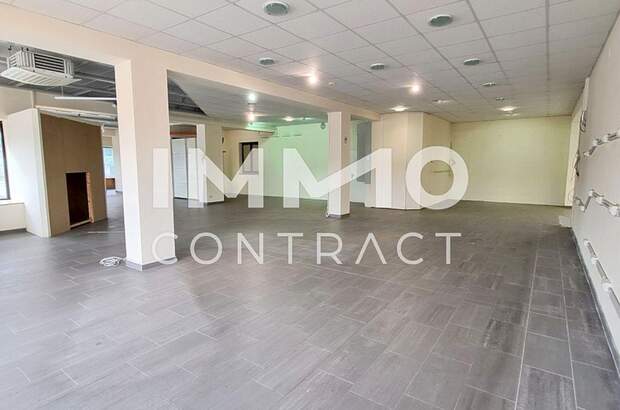 Gewerbeobjekt mieten in 3370 Ybbs (Bild 3)