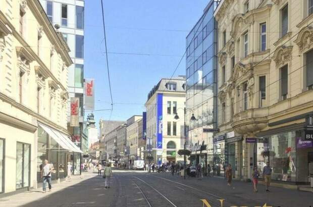 Gewerbeobjekt mieten in 4020 Linz (Bild 5)