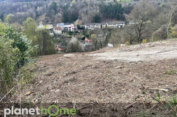 Grundstück kaufen in 2391 Kaltenleutgeben (Bild 1)