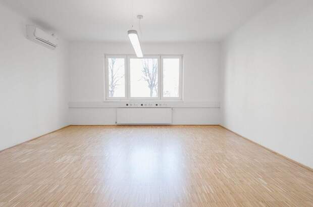 Gewerbeobjekt mieten in 1070 Wien (Bild 4)