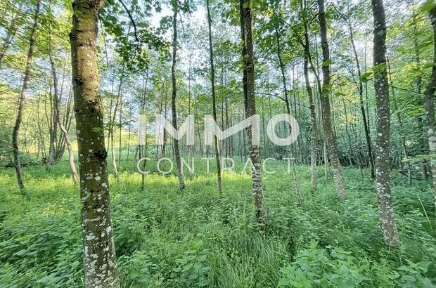 Gewerbeobjekt kaufen in 3321 Ardagger